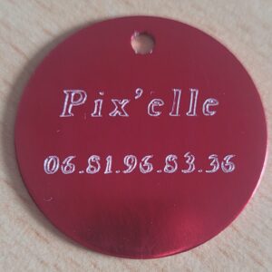 Plaque d'identification animal