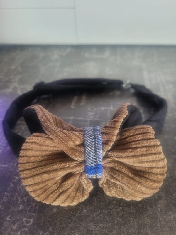 Papillon de cou – Image 2